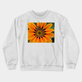 Gazania 8 Crewneck Sweatshirt